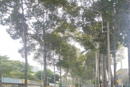 Ngộp Tô Hiến Thành - HXH Quận 10 - 42m2 - 4 tầng BTCT